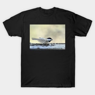 Ready to fly T-Shirt